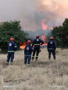 🚨Η ΕΠ.ΟΜ.Ε.Α. ΛΟΚΡΩΝ ΣΤΗΝ ΠΡΩΤΗ ΓΡΑΜΜΗ ΜΕ ΥΠΕΡΑΝΘΡΩΠΗ ΠΡΟΣΠΑΘΕΙΑ ΣΤΗΝ ΠΥΡΚΑΓΙΑ ΤΟΥ ΚΑΛΑΠΟΔΙΟΥ🚨
