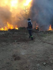 Σε άμεση κινητοποίηση τέθηκαν οι εθελοντές της ΕΠ.ΟΜ.Ε.Α. Λοκρών προκειμένου να συνδράμουν στην κατάσβεση πυρκαγιών που ξέσπασαν στην περιοχή της Στερεάς Ελλάδας 
