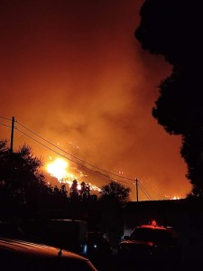 Νέα πυρκαγιά στην περιοχή της Αιγιάλειας 